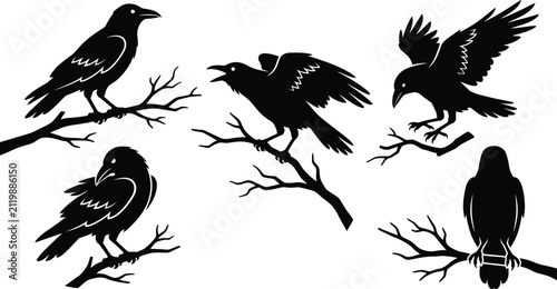 Canvastavla Set of black crows perched on tree branches in a detailed graphic art silhouette