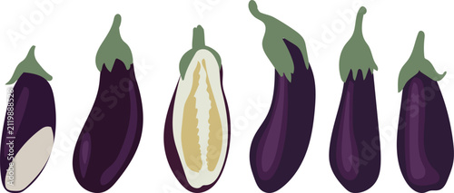 Vector set of hand-drawn style eggplant illustrations