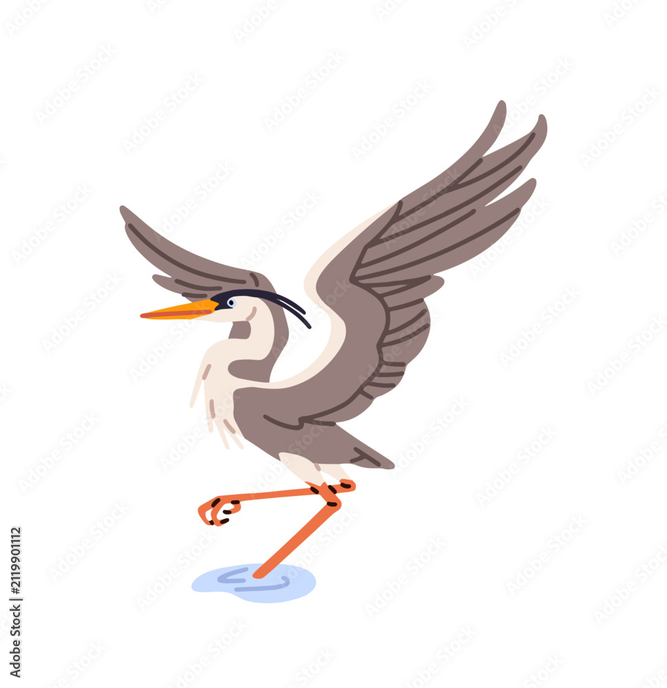 Obraz premium Grey heron spreads its wings. Crane stands in water on a leg. Wild fowl, bird of swamps. Wildlife of wetland. Waterbird, fauna of ponds. Flat isolated vector illustration on white background