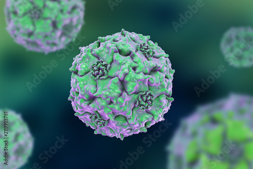 Obraz na plátne Parvoviruses, 3D illustration showing small non-enveloped icosahedral DNA viruses, including pathogens such as parvovirus B19 and canine parvovirus