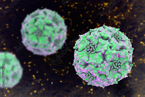 Fotografía Parvoviruses, 3D illustration showing small non-enveloped icosahedral DNA viruses, including pathogens such as parvovirus B19 and canine parvovirus