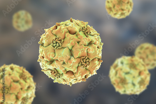 Cuadro en lienzo Parvoviruses, 3D illustration showing small non-enveloped icosahedral DNA viruses, including pathogens such as parvovirus B19 and canine parvovirus