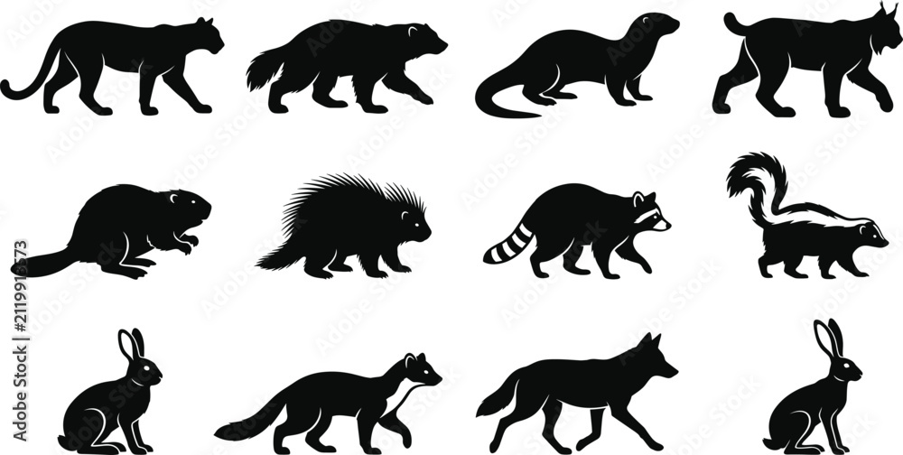 Obraz premium Wild Mammal Silhouette Collection with Forest Animals and Wildlife Vector SetWild Mammal Silhouette Collection with Forest Animals and Wildlife Vector Set