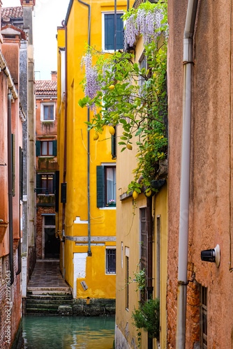 Canvastavla City of Venice, canal, bridge, gondola boats, alley and colorful local buildings