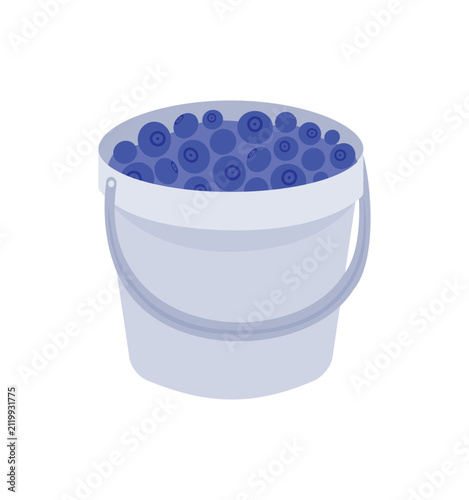 Bucket full of fresh blueberries - flat vector illustration of berry harvest.