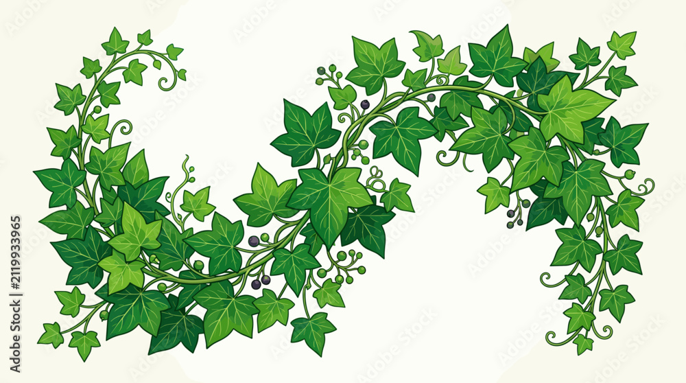 Obraz premium Lush Green Ivy Vines Forming Heart Shape on White Background