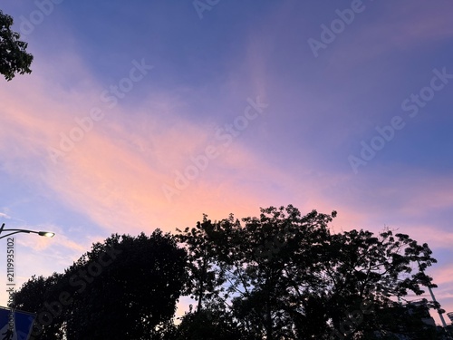 Photography sunset and candy sky