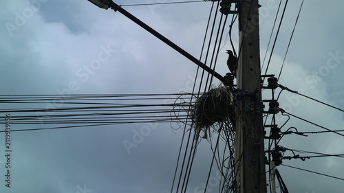 Foto The image depicts a wooden utility pole supporting a network of electrical wires