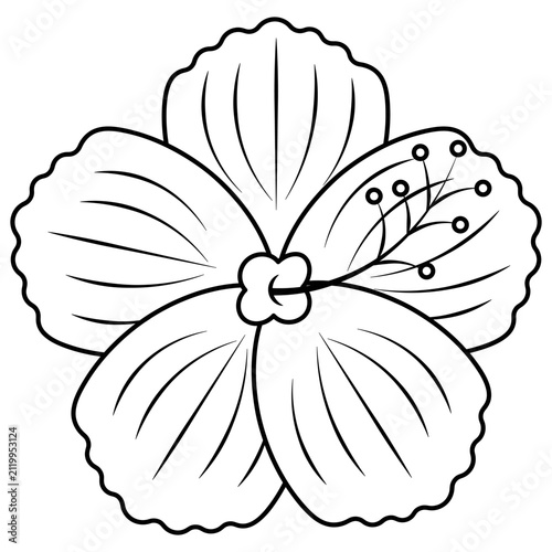 Stylized hibiscus. Chinese rose. Sketch. Open flower petals with a lush, long center. Vector illustration. Outline on an isolated white background. Doodle style. Coloring book. Web design idea.