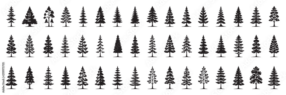 Obraz premium Forest trees set. Isolated vector silhouette. Coniferous forest. Christmas tree, fir-tree, pine, pine-tree, Scotch fir, cedar. A minimalist vector graphic illustration of a mountain landscape .