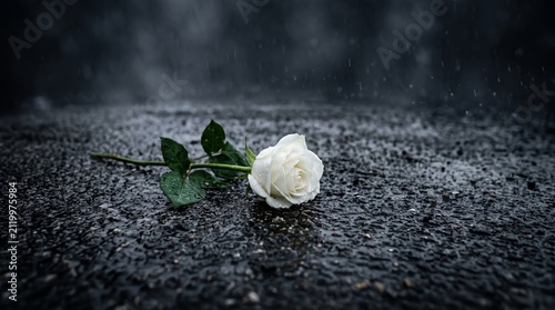 A single white rose lies on a rain-soaked pavement. Concept of Memorial Day, loss, mourning, and remembrance. Suitable for themes of tribute and reflection in marketing. Generative AI.