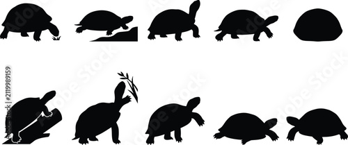 Turtle Silhouette Collection Set with Various Poses Isolated on White Background Vector