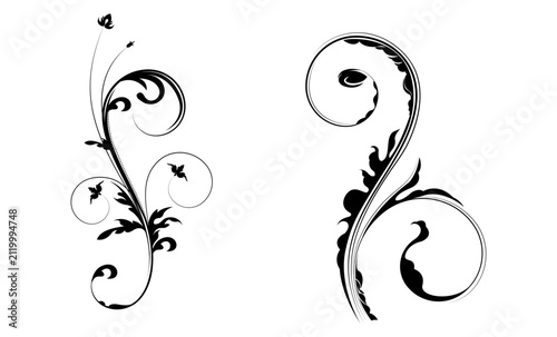 Hand Drawn Elegant Floral Swirl Ornament, Decorative Vine Flourish, Botanical Scroll, Vintage Line Art Vector Illustration