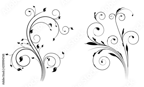 Hand Drawn Elegant Floral Swirl Ornament, Decorative Vine Flourish, Botanical Scroll, Vintage Line Art Vector Illustration