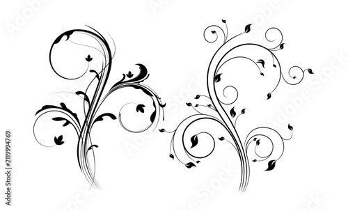 Hand Drawn Elegant Floral Swirl Ornament, Decorative Vine Flourish, Botanical Scroll, Vintage Line Art Vector Illustration