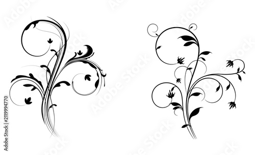 Hand Drawn Elegant Floral Swirl Ornament, Decorative Vine Flourish, Botanical Scroll, Vintage Line Art Vector Illustration