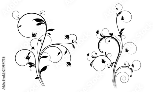Hand Drawn Elegant Floral Swirl Ornament, Decorative Vine Flourish, Botanical Scroll, Vintage Line Art Vector Illustration