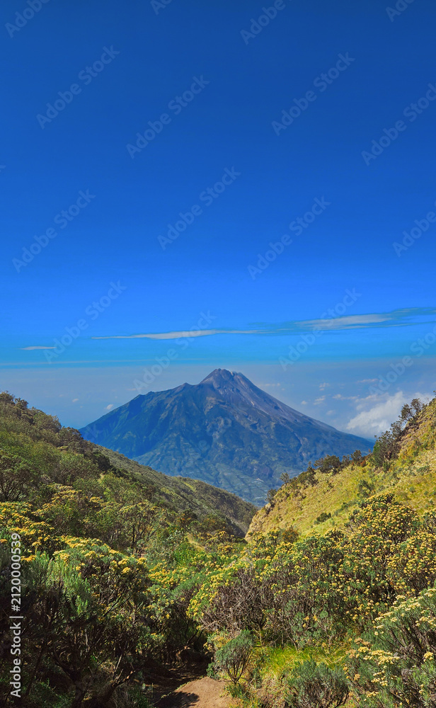 Fototapeta premium Scenic view of Mount Merapi volcano seen from hiking trail of Mount Merbabu