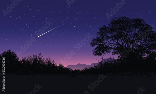 Night sky pulses with stars and a shooting star