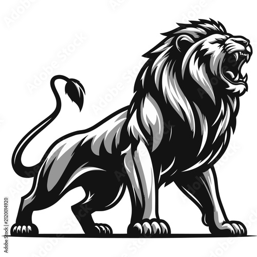 Lion vector and illustration.