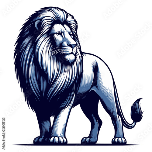 Lion vector and illustration.