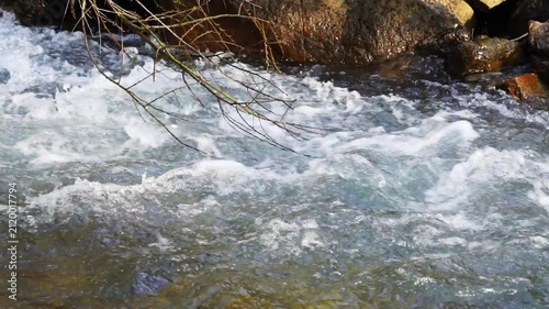 Real-time video with sound where the flow of a small mountain river flows from left to right with air bubbles. Tree branches hanging on the surface without leaves, 120 fps