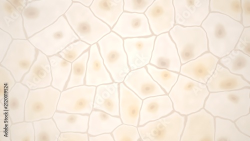 Cuadro en lienzo Abstract cellular structure with nuclei
