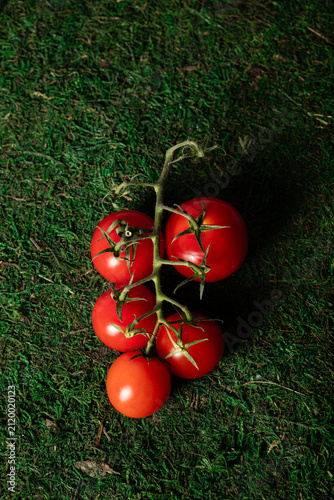 still life photograph of cherry tomato