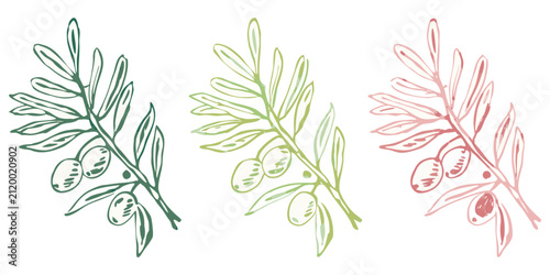 Olive branch sketch set, hand-drawn botanical vector illustration