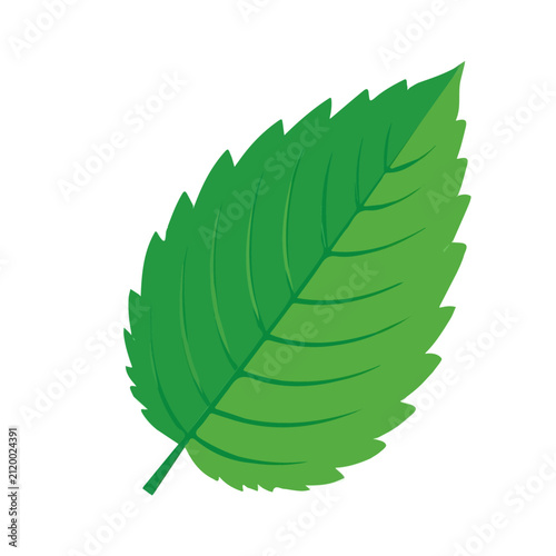 Mint Leaf, rendered in a minimalist 2D flat vector icon style against a pure white backdrop