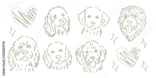 Hand drawn doodle dog heads set, cute puppy face line art illustrations, 6 poodle and doodle breed sketches with hearts and stars