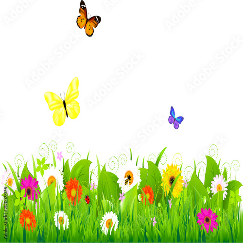 flowers and butterflies
