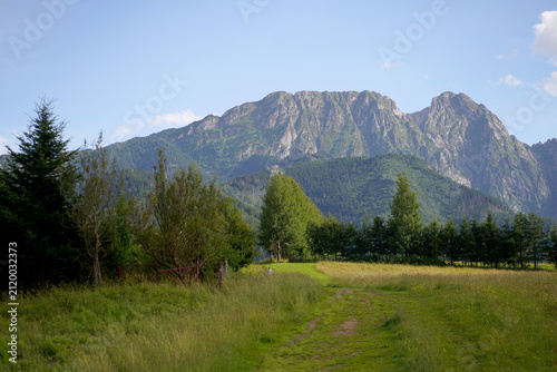 Photography nature in zakopane