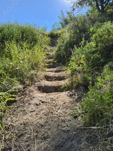 Dirt steps cut into a grassy hill leading upward on a hiking trail under a clear blue sky on a sunny summer day.