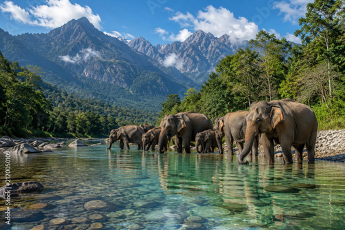 herd of elephants in the mountains