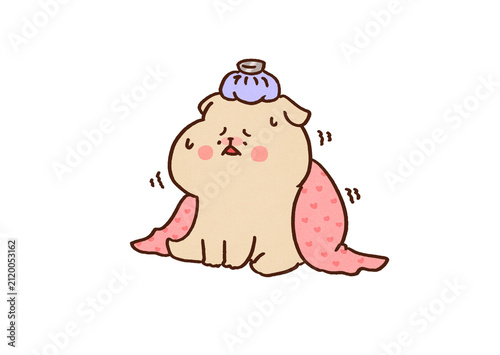 Foto Sick dog wrapped in a blanket shivering with an ice pack on its head, sick as a