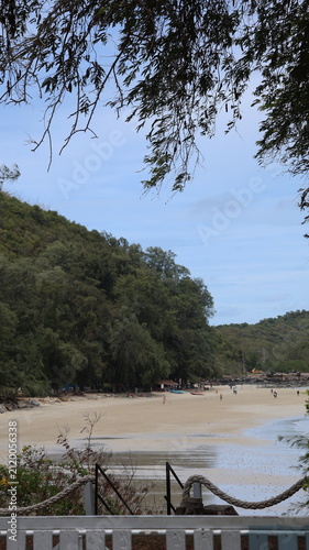 The image depicts a serene beach scene bordered by dense green foliage and trees, with their branches extending into the frame from the top