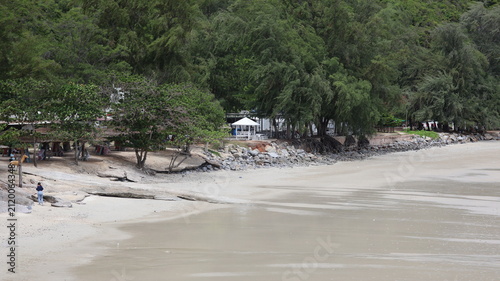 The image depicts a quiet beach scene with a sandy shoreline extending along the coast. Dense green foliage, including tall trees, borders the beach, providing a natural backdrop