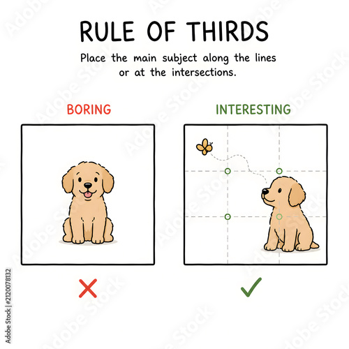 Rule of Thirds Photography Composition Educational Infographic for Children