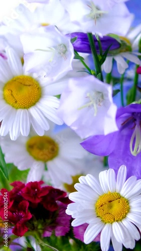 Colorful bouquet of wildflowers with fresh blooming meadow flowers arranged in a beautiful natural floral composition