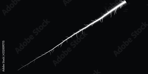 Konstfotografi Minimalist single root with fine rootlets isolated on solid black background bot