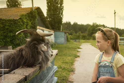 Cute little girl feeding a goat near wooden fence, holding bucket, rural farm scene showing child and animal interaction