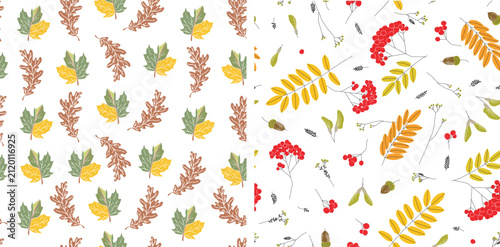 autumn leaves background