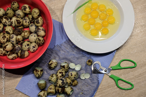 breaking quail eggs with special scissors and preparing the food
