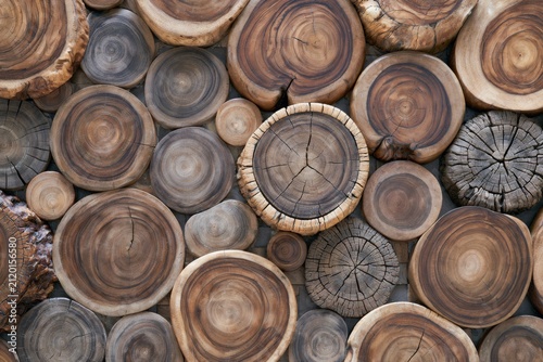 Natural teak wood log stump texture background