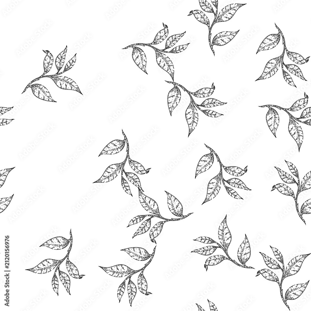 Obraz premium seamless pattern black tea leaf hand drawn vector. healthy drink, summer food, organic plant black tea leaf sketch illustration