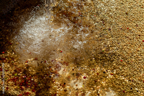 Fotografie Coffee beans undergoing wet processing, washing away impurities and pulp, separa
