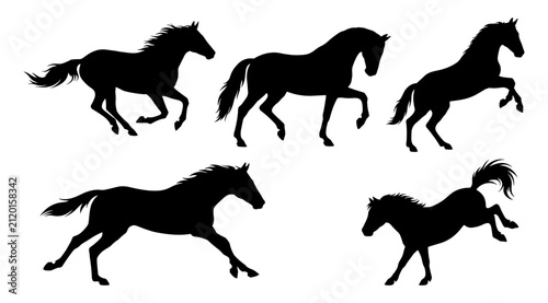 Quadro su tela Running Horses Silhouette Illustration in Black and White Vector Style Featuring