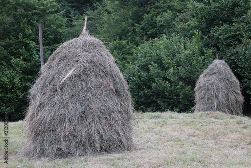 Canvas Print Close Up View Of Haystacks