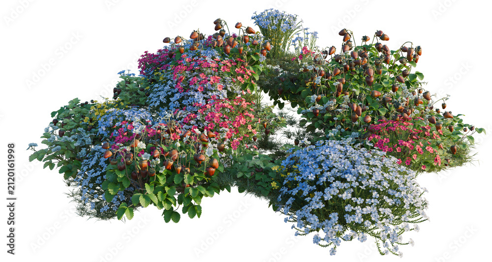 Obraz premium Flax and Fragaria tree line, Forest Edge, Backdrop cutout, isolate transparent background, Vibrant mixed flower bed with pink, blue, and red blossoms - perfect for garden design projects.